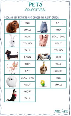 a poster with pictures of dogs and cats on it's sides, including the words pets