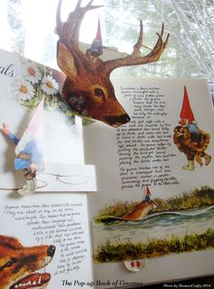 an open book with pictures of animals and gnomes