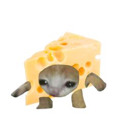 an animal with cheese on it's back legs