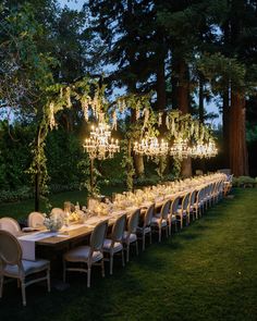 a long table is set up for an outdoor dinner