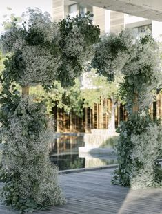 an outdoor area with white flowers and greenery on the ground, surrounded by wooden planks