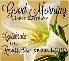 a white lily with the words good morning happy easter celebrate the resection of our lord