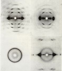 four different views of the same object in black and white, each with an eyeball