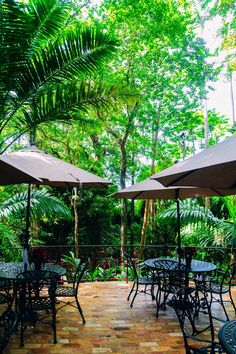 tables and chairs with umbrellas in the middle of a patio surrounded by greenery