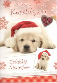 a christmas card with a puppy wearing a santa hat