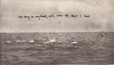 birds are flying over the ocean with a message written on it