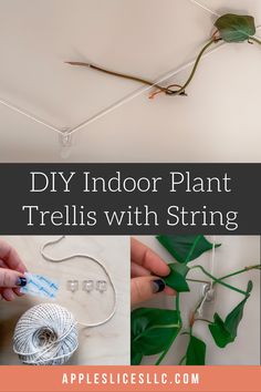 an indoor plant trellis with string attached to it and the words, diy indoor plant trellis with string attached to it