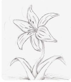 a drawing of a flower on a white paper