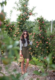 Apple Picking Outfit Summer, Apple Picking Outfit Fall, Apple Picking Season, Yummy Pie Recipes, Interview Attire, Extra Petite, Farm Clothes, Apple Orchard