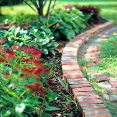 red flowers are blooming in the garden near brick edgings and green grass