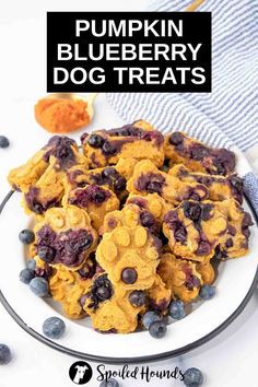 pumpkin blueberry dog treats on a white plate with text overlay that reads, pumpkin blueberry dog treats