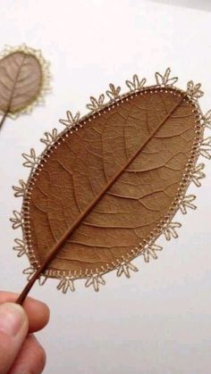 a hand holding a brown leaf in front of two other leaves on a white surface