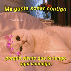 a white cat laying on top of a bed with the caption me gusta sonar contigo