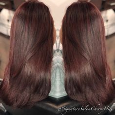 Puffs Hairstyles, Hair Colour Ideas, Fall Fashion Inspiration, Red Hair Inspo, Cherry Brown, Cherry Cola, Pretty Hair Color, Colour Ideas, Hair Shades