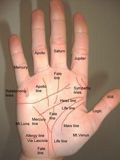 Palm Lines and Palmistry How Does it Work? - Destiny Palmistry Palm Lines, Hand Reflexology, Jyotish Astrology