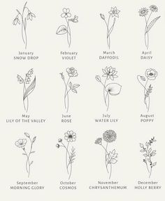 the different types of flowers that are in english and spanish, as well as their names