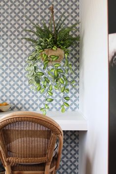 a wicker chair sitting in front of a wall with a plant hanging from it