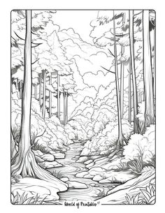 a black and white drawing of a stream in the woods with trees on either side