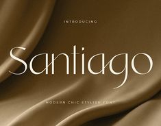 an image of the cover of sanitago modern chic stylish font