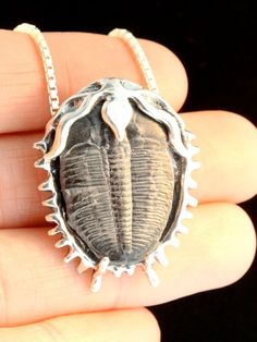 Trilobite Necklace Fossil Pendant Fossil Jewelry Ocean Jewelry Prehistoric Artifact Trilobite Pendan Fossil Art, Dinosaur Jewelry, Jewelry Ocean, Trilobite Fossil, Fossil Jewelry, Insect Jewelry, Ocean Jewelry, Funky Jewelry, Metal Clay