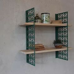 two wooden shelves with plants and books on them