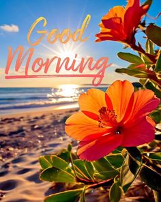 the words good morning are written in pink and orange flowers on a sunny day at the beach