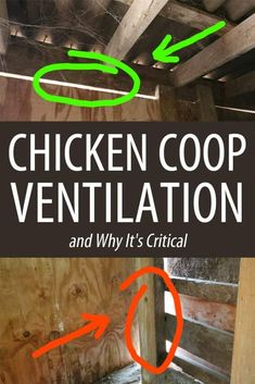 chicken coop ventilation and why it's critical