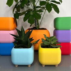 there are many different colored planters on the table