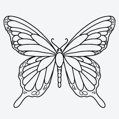 a black and white drawing of a butterfly