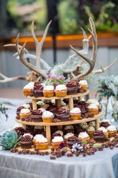 a table topped with cupcakes and deer antlers