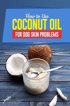 coconut oil for dog skin problems and how to use it in the bathroom or at home