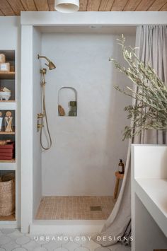 a bathroom with a shower, toilet and shelves