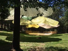 several large umbrellas hanging from trees in a park