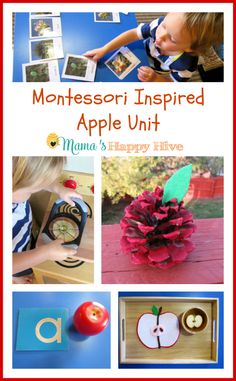 montessori inspired apple unit with pictures and words on the front, including an apple slice