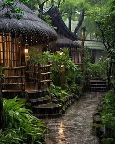 a house in the middle of a forest with steps leading up to it and rain falling on the ground