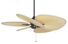 a ceiling fan with three blades on it