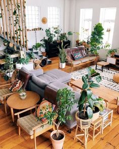 a living room filled with furniture and lots of plants on top of wooden flooring