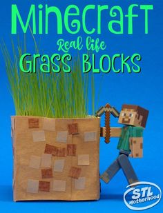 a paper bag with grass in it and the words minecraft real life grass blocks