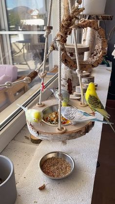 two birds eating food out of bowls on a window sill next to a bird feeder