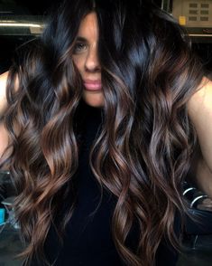 Black Hair Color Ideas, Biolage Hair, Rambut Brunette, Cleveland Tn, Black Hair Color, Dark Hair With Highlights