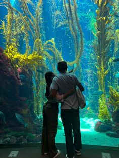 two people standing in front of an aquarium looking at the fish and seaweeds