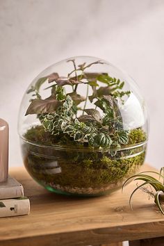 a glass bowl filled with plants sitting on top of a wooden table next to a book