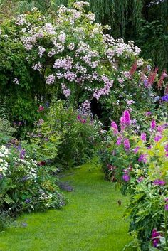 a lush green garden with lots of flowers