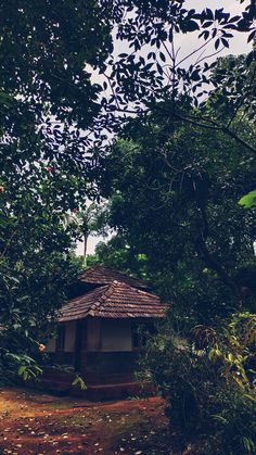 a small hut in the middle of some trees