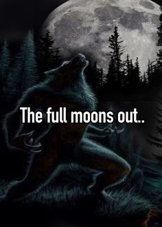 the full moon is out and there are two wolfs