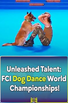 a dog is sitting on the floor with his owner in front of him and text that reads, unleashed talent fc dog dance world championships