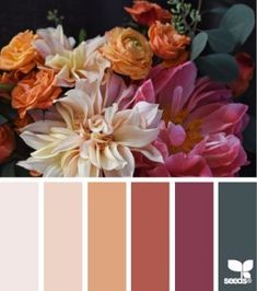 a bunch of flowers that are in some color swatches with the words shades of pink, orange and yellow