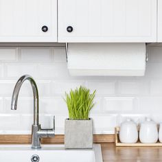 a kitchen sink with a green plant in the center and white cupboards behind it