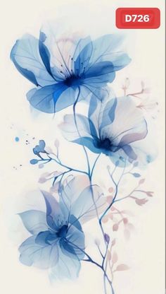 two blue flowers on a white background with the words d725 above it in red