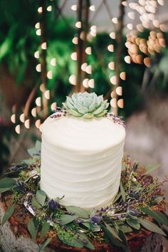 a white wedding cake with a succulent top on a tree stump surrounded by greenery